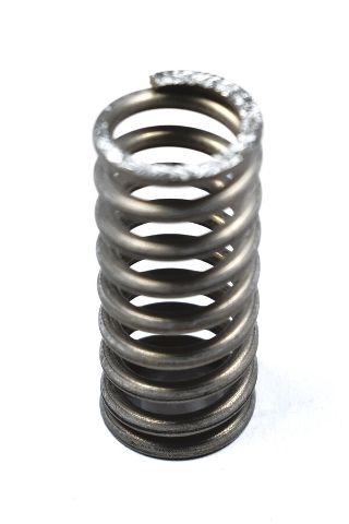 E61 Infusion Valve Spring