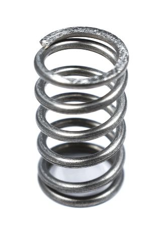 E61 Exhaust Valve Spring