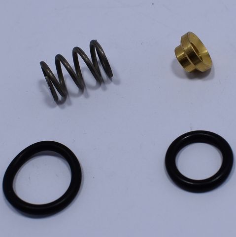 Rancilio Wand Seal Set (4) also San Remo